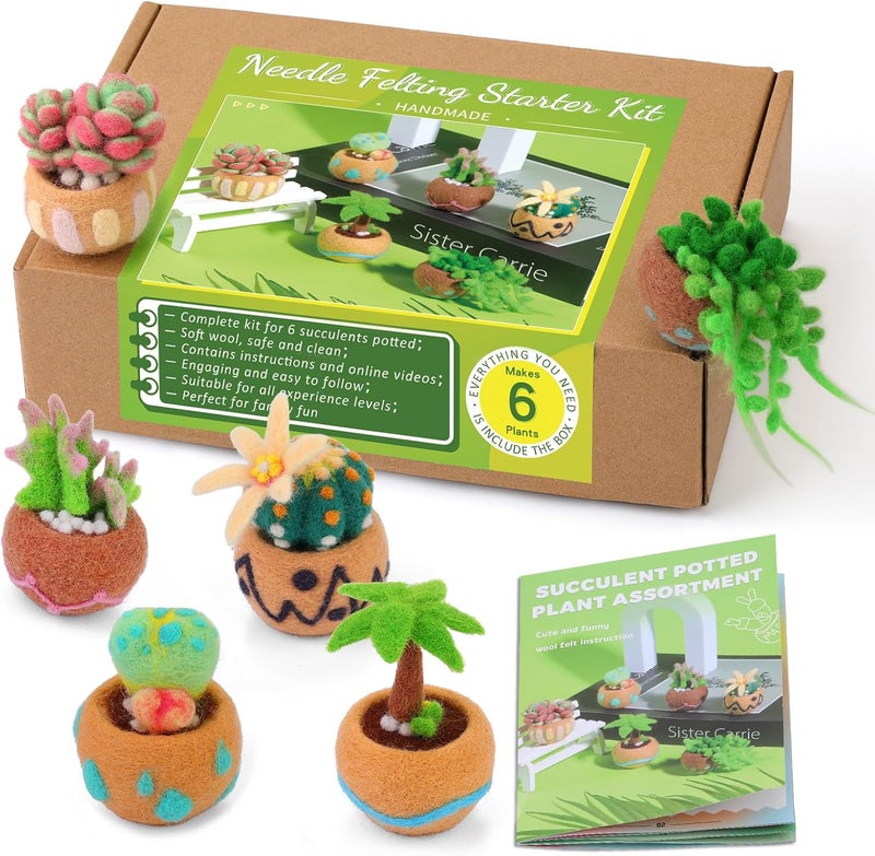 Yizzvb Needle Felting Kit, 6 Pcs Succulent Felting Kit for Beginner, Felting Kit, Needle Felting Tools Including Wool Roving, Foam Mat, Felting Needles and Instructions for DIY Felting Starters - Image 1